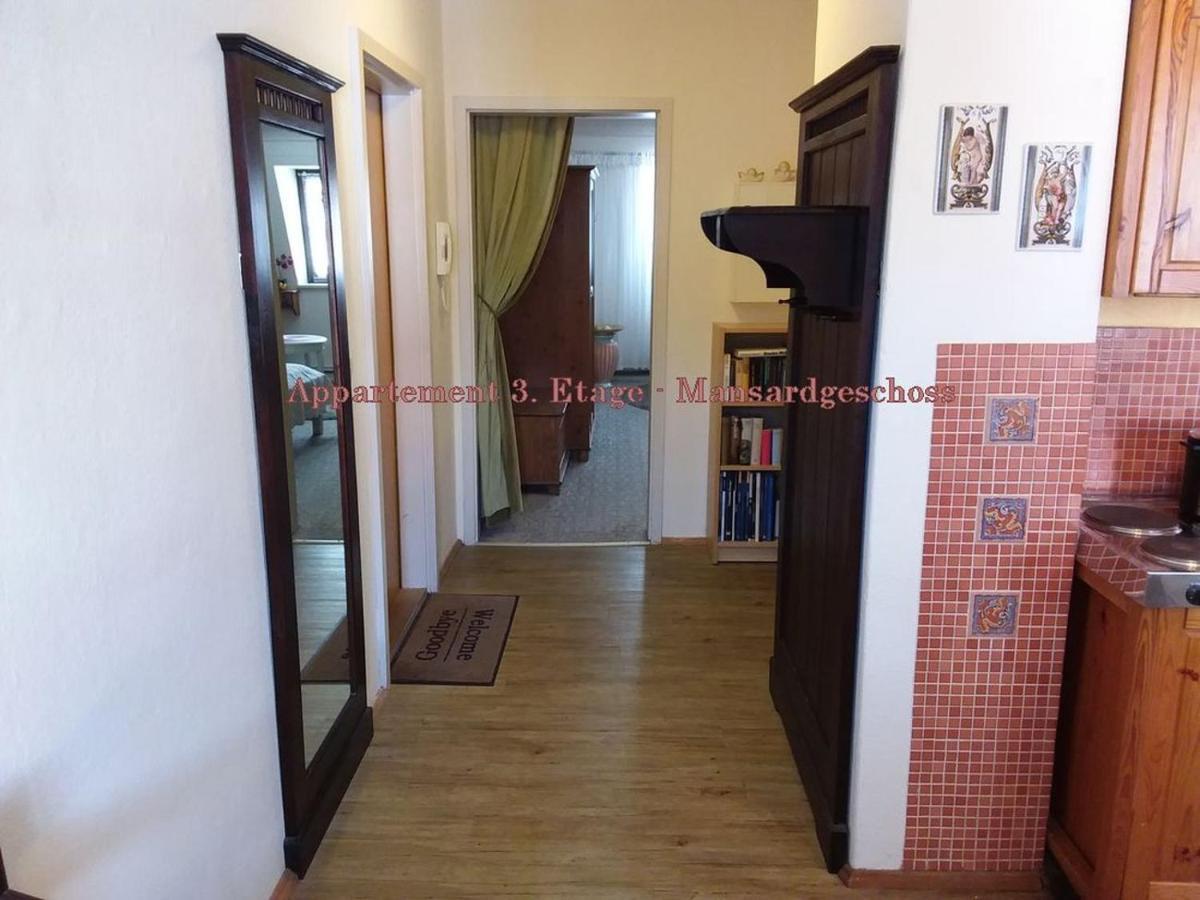 City-Ferienwohnungen-Dresden - Zentral Gelegen Im Haus Louisenstrasse 11 - Dresden-Neustadt מראה חיצוני תמונה