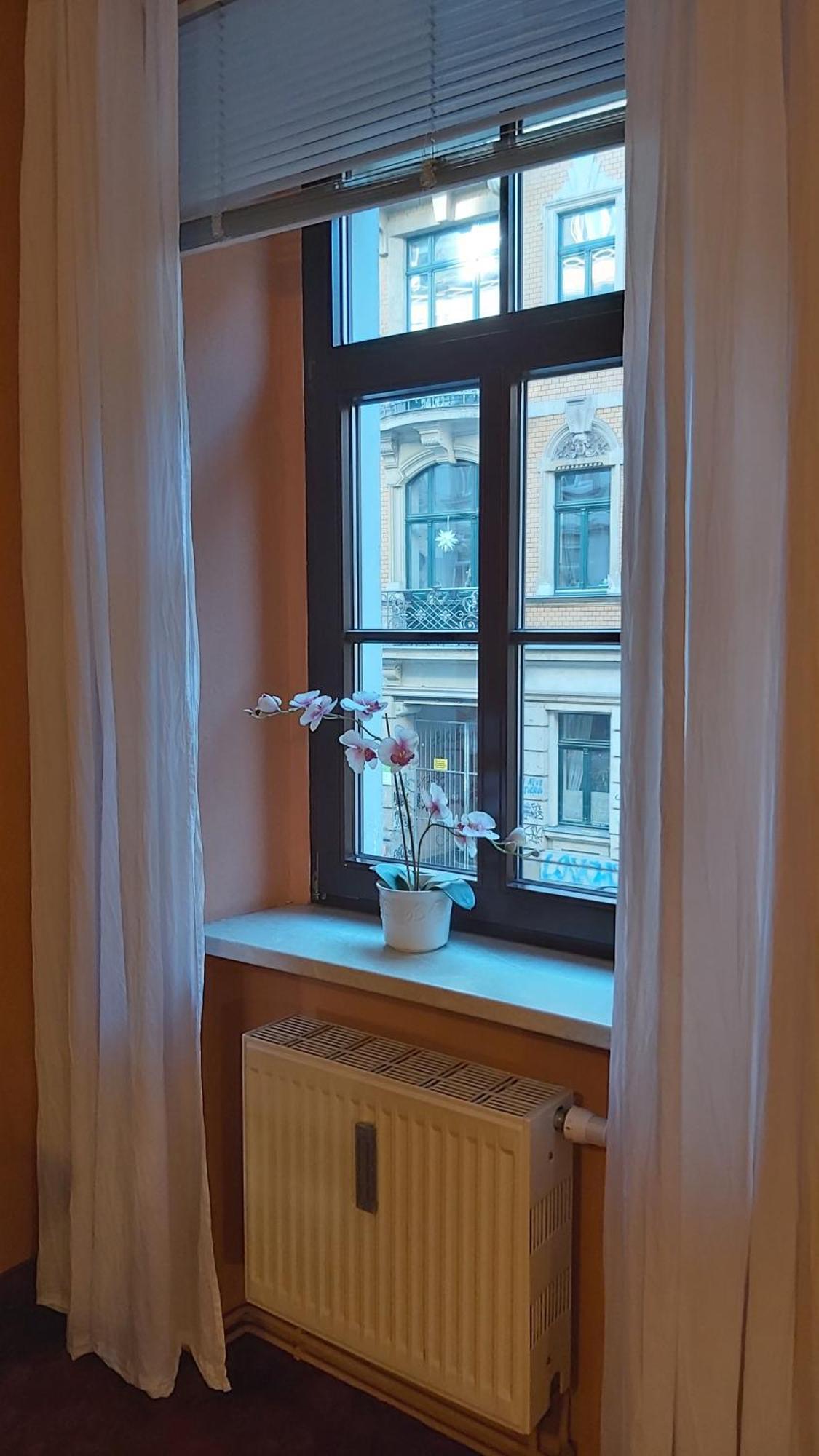 City-Ferienwohnungen-Dresden - Zentral Gelegen Im Haus Louisenstrasse 11 - Dresden-Neustadt מראה חיצוני תמונה