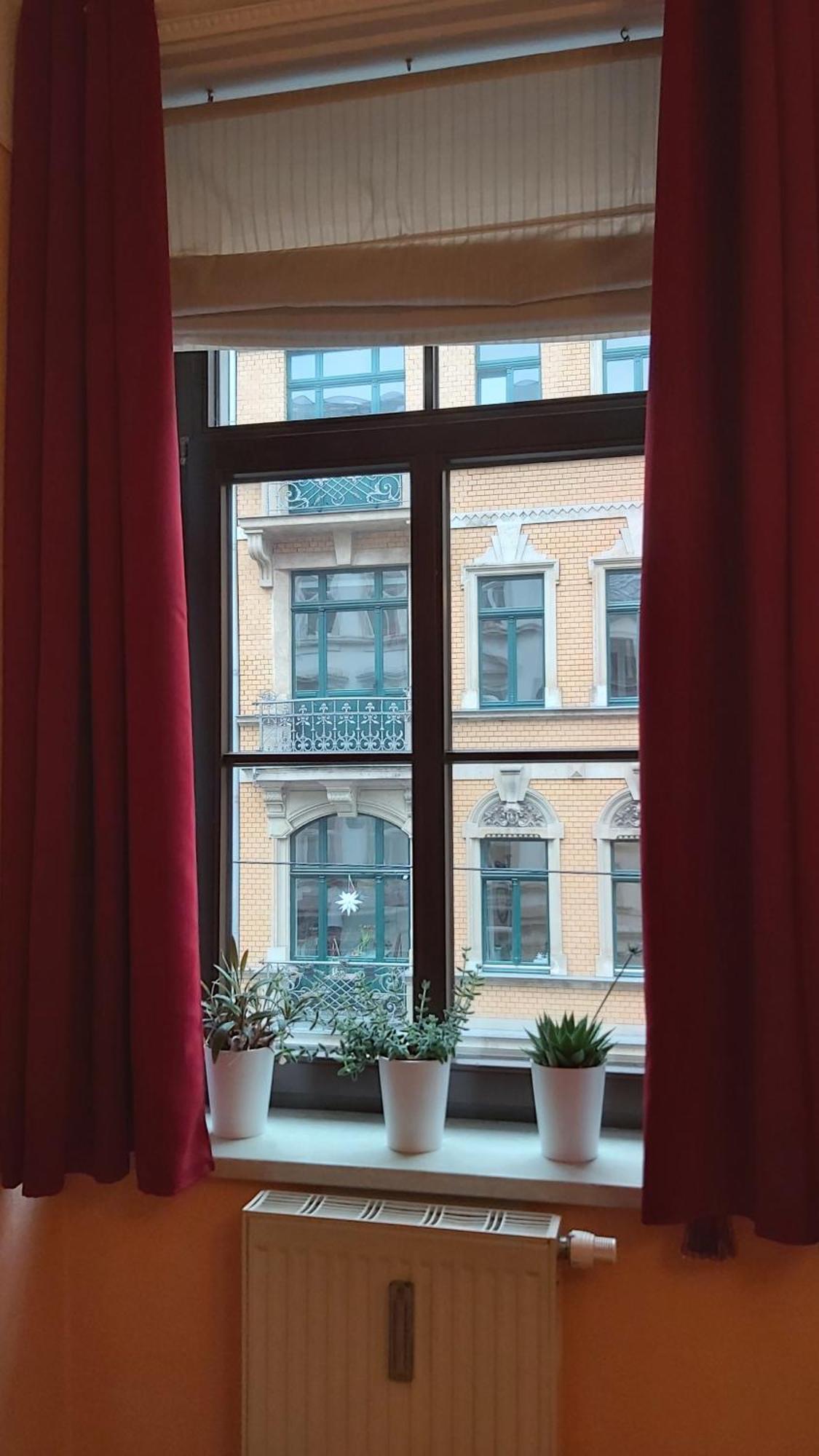 City-Ferienwohnungen-Dresden - Zentral Gelegen Im Haus Louisenstrasse 11 - Dresden-Neustadt מראה חיצוני תמונה