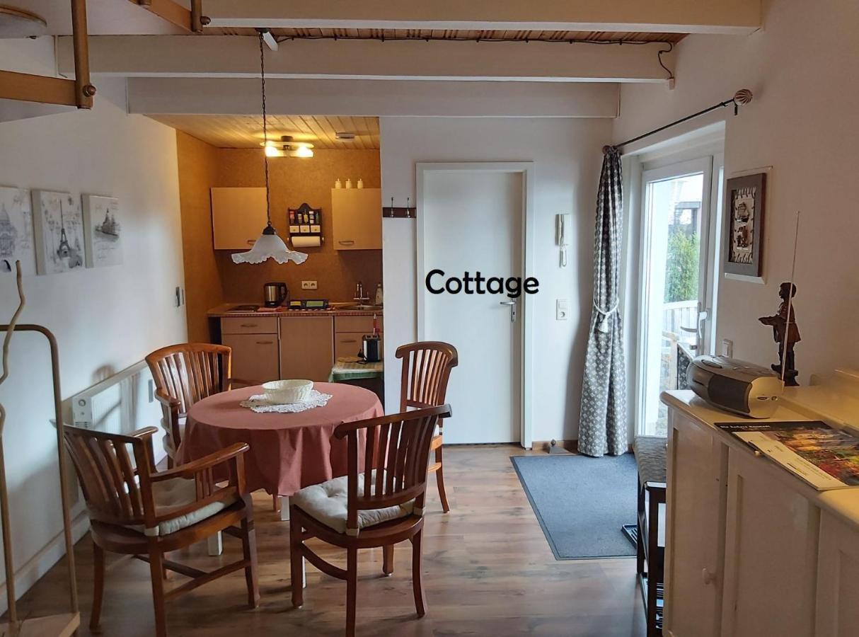 City-Ferienwohnungen-Dresden - Zentral Gelegen Im Haus Louisenstrasse 11 - Dresden-Neustadt מראה חיצוני תמונה